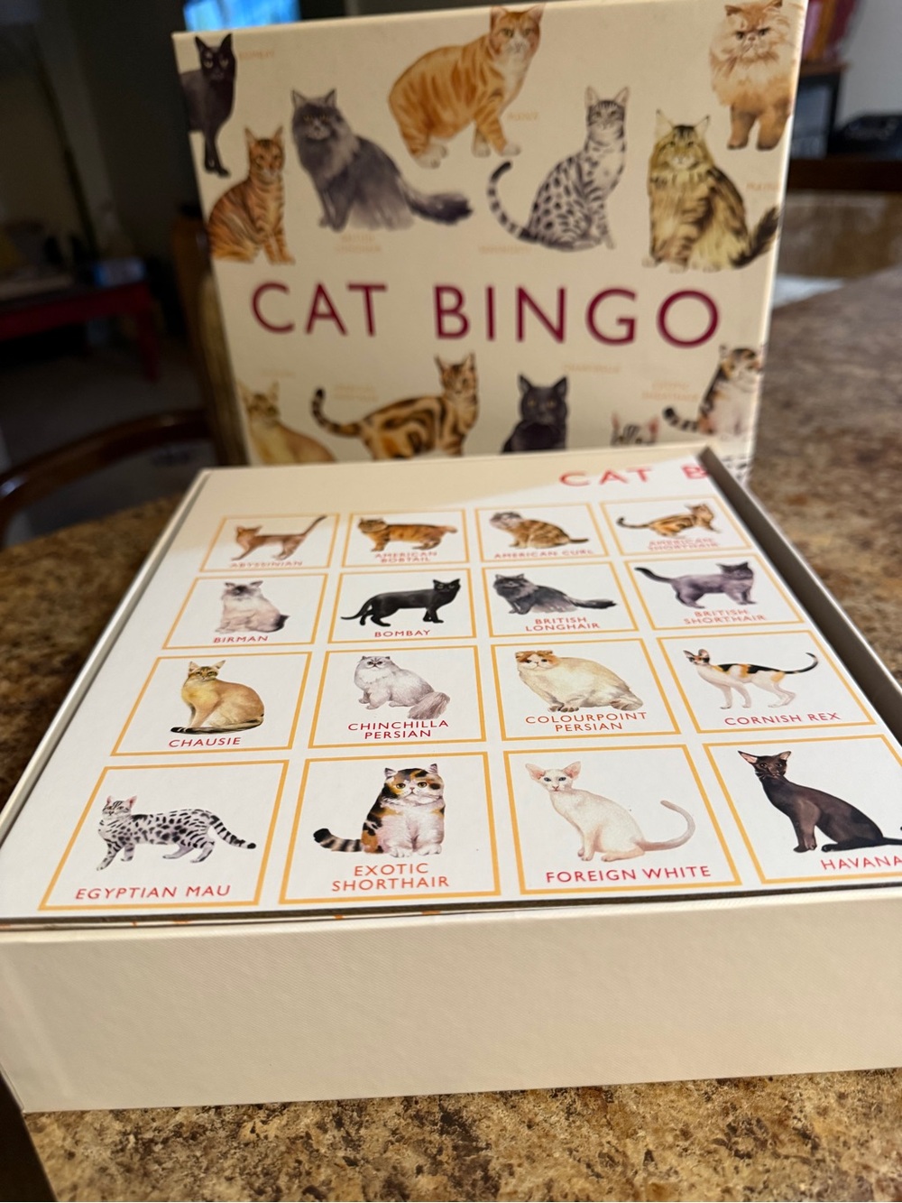Cat Bingo Game - Picture 4 of 6